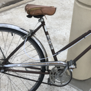 1975 I don’t know Cruiser Brown