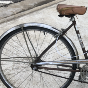 1975 I don’t know Cruiser Brown