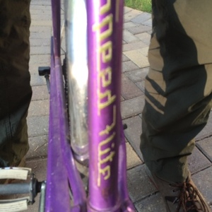 1959 Murray Speed Flite Purple