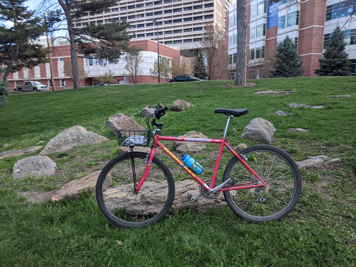 1991 Diamondback Apex