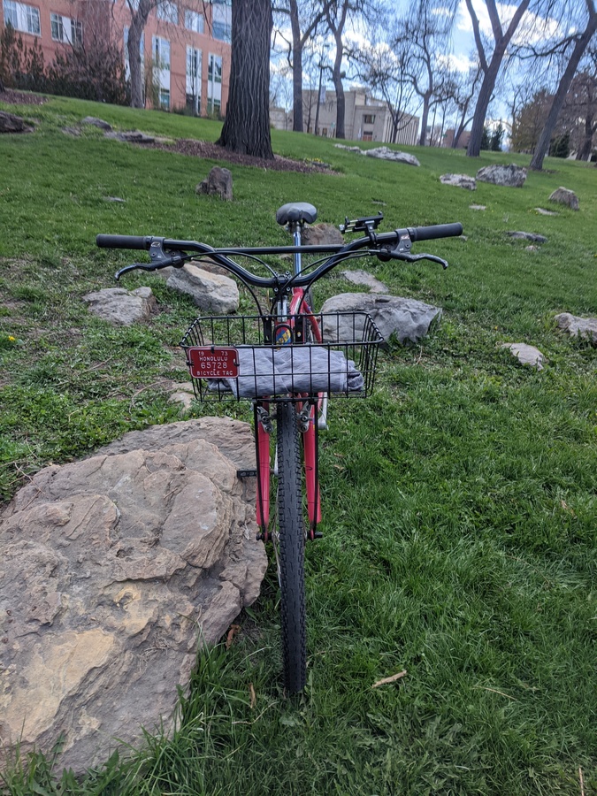 1991 Diamondback Apex