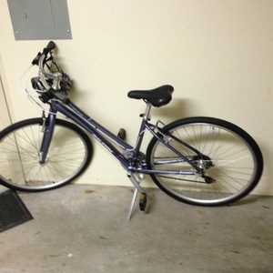 2014 Raleigh Purple
