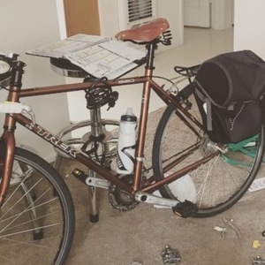 2011 Trek 520 Yellow or Gold