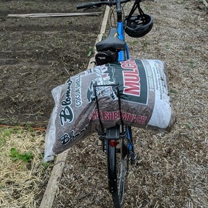 2016 Trek Allant Blue