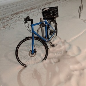2016 Trek Allant Blue