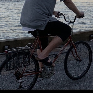 1990 Diamondback Ascent Orange