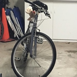 2014 Raleigh Detour 4.5 Purple