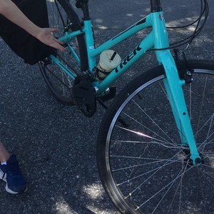 Trek Fx2 Teal