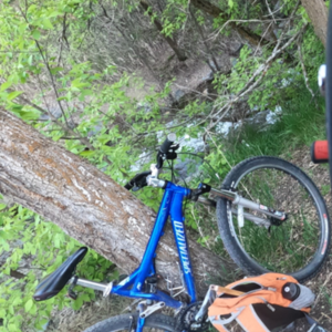 Specialized Blue