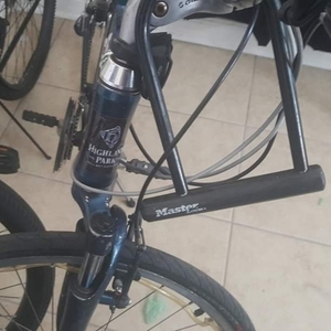 2015 Giant cypress Blue