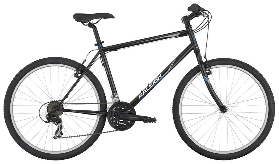 raleigh talus 29r