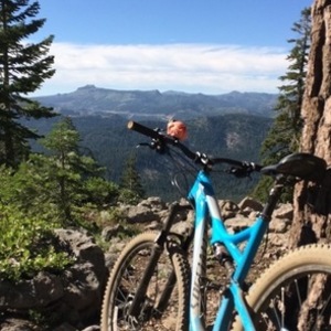2015 Specialized Stumpjumper Comp Blue