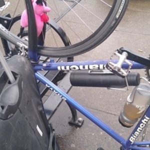 2020 Bianchi Brava Purple