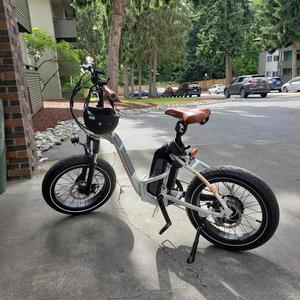 2019 Rad Power Bikes Rad Mini Step Over White