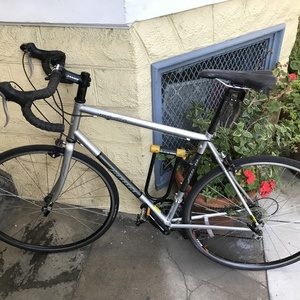 Jamis Satellite Sport Silver, gray or bare metal
