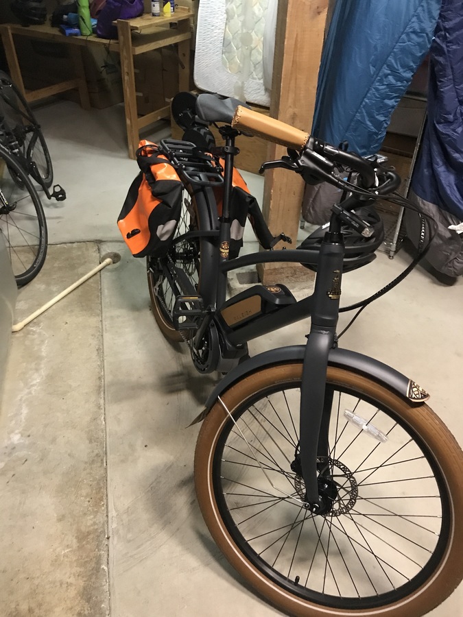 raleigh retroglide royale ie