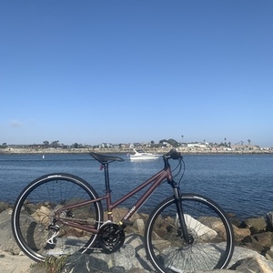 2020 REI XS, CTY 2.1 step-through bike Brown