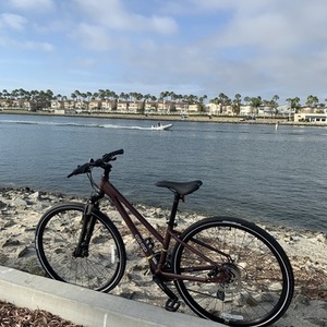 2020 REI XS, CTY 2.1 step-through bike Brown
