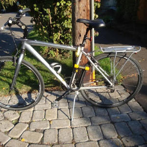 2010 Trek 20" - 7500 model Silver or Gray