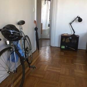 1986 Fuji Sagres Blue