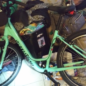 2016 Specialized Roll Teal