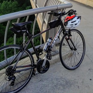 2014 Giant Escape 03