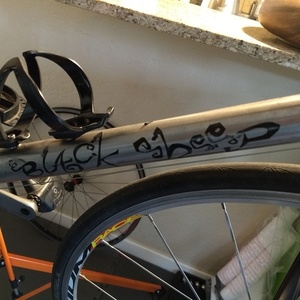 Black Sheep Bikes Northdam Silver, gray or bare metal