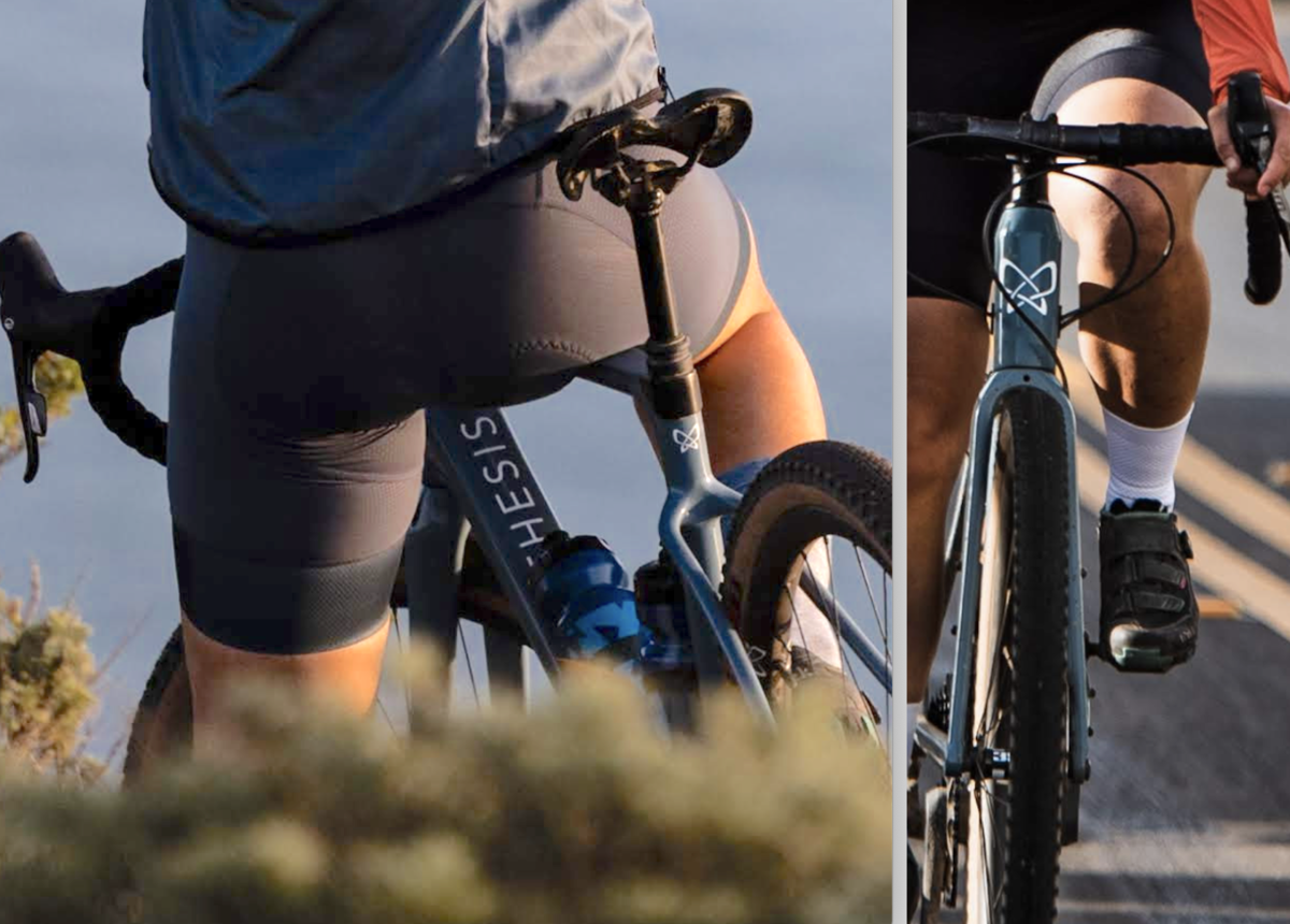 Dissertation stolen 06 picture