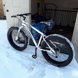 2016 manto Ironhorse White and Silver, gray or bare metal
