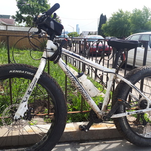 2016 manto Ironhorse White