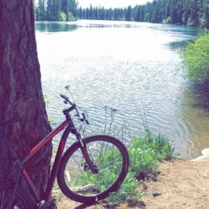 Specialized Black and Red