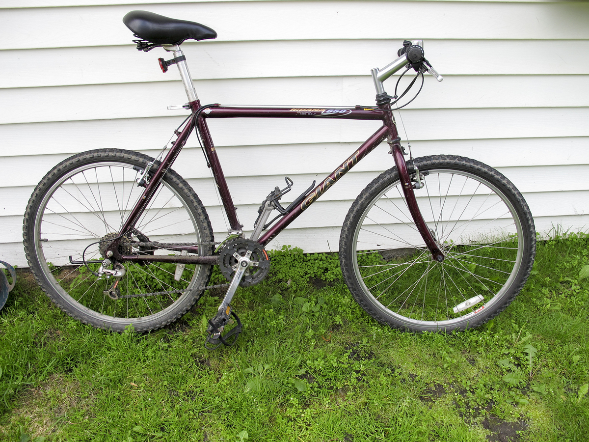 giant iguana bicycle