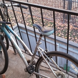 Jeep Overland SE Silver or Gray and Teal