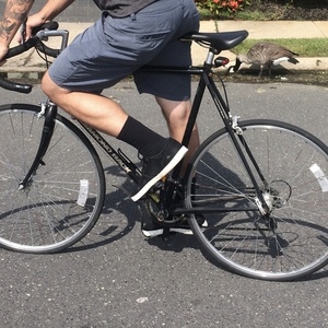 1980 Diamondback Black
