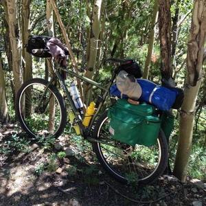 2012 Surly Ogre Green