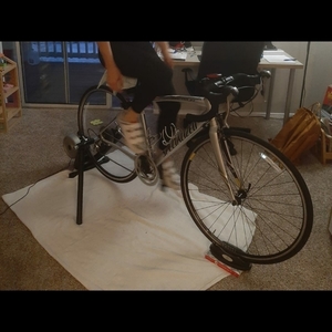 2013 Specialized Secteur Elite Compact Silver, gray or bare metal