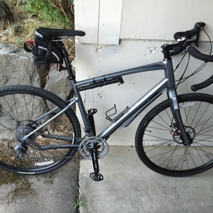 2014 Giant Revolt 2