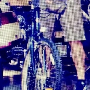 Schwinn Black and Blue