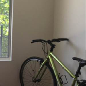 2013 Trek 7.1 FX Green