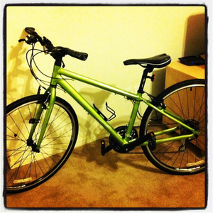 2013 Trek 7.1 FX Green