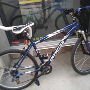 specialized rock hopper blue