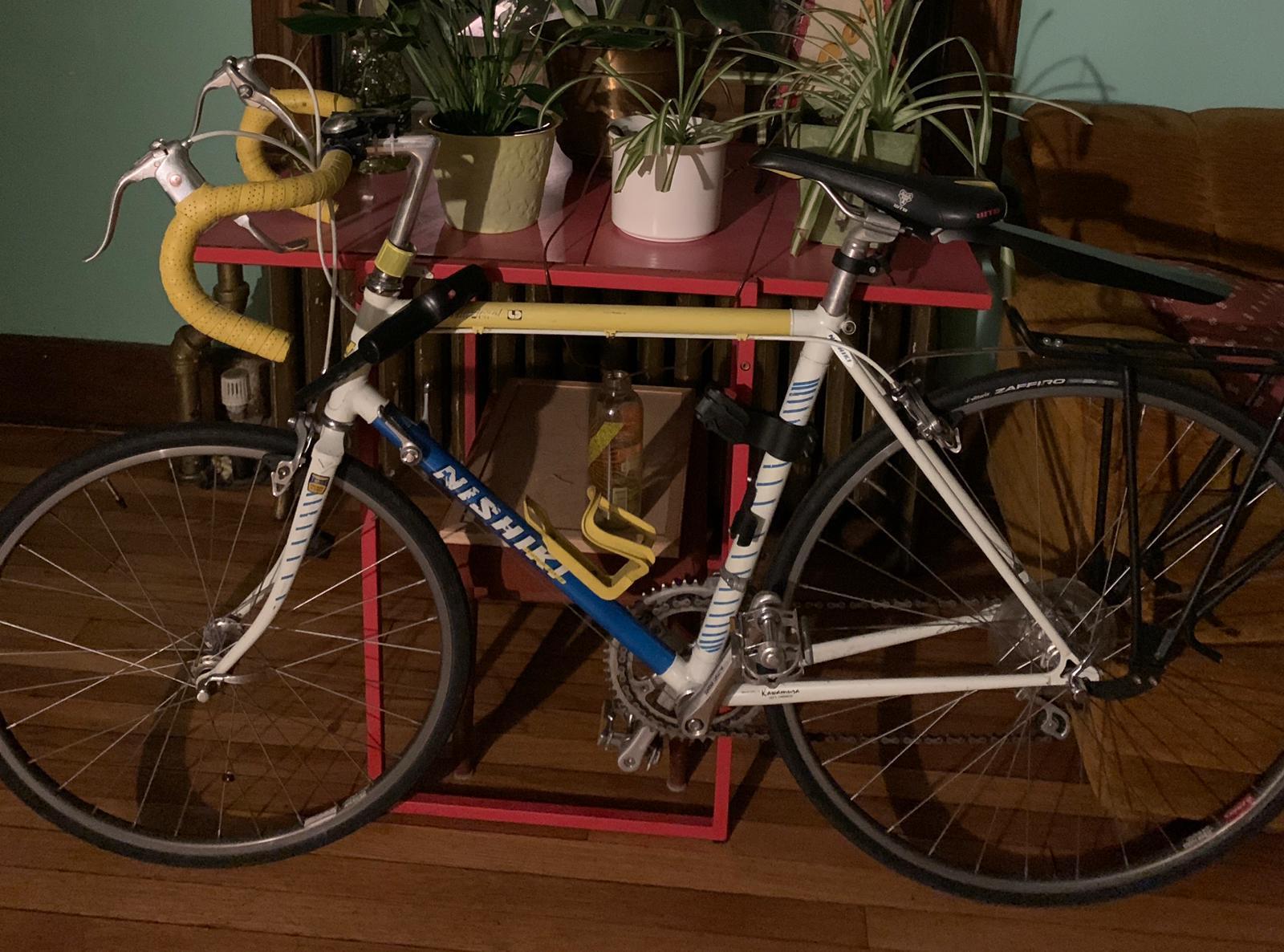 nishiki 10 speed bike