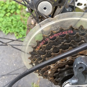 2010 Mongoose XL Silver or Gray