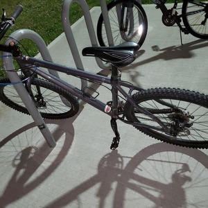 Cannondale caffeine f3 Silver, gray or bare metal