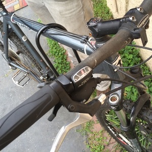 2010 Mongoose XL Silver or Gray