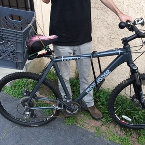 2010 Mongoose XL Silver or Gray
