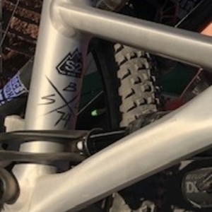 Specialized Stumpjumper EVO Silver, gray or bare metal