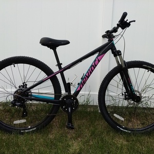 Devinci Jack Black, Pink, and Blue