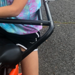 2019 Rad Power Bikes Radwagon Orange
