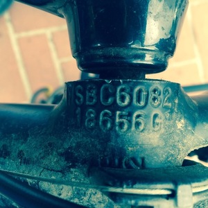 2012 Specialized Crosstrail Sport Disk Silver or Gray